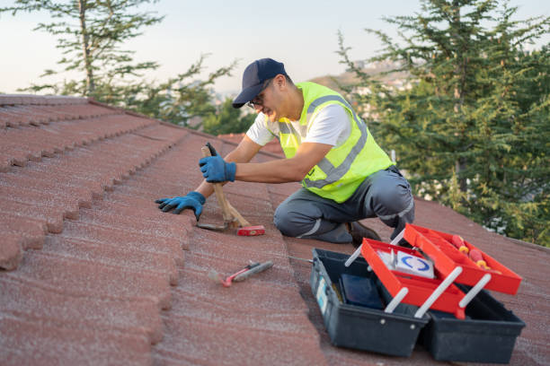 Best Shingle Roofing Installation  in Ellinwood, KS